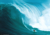 Wave Poster L02365218